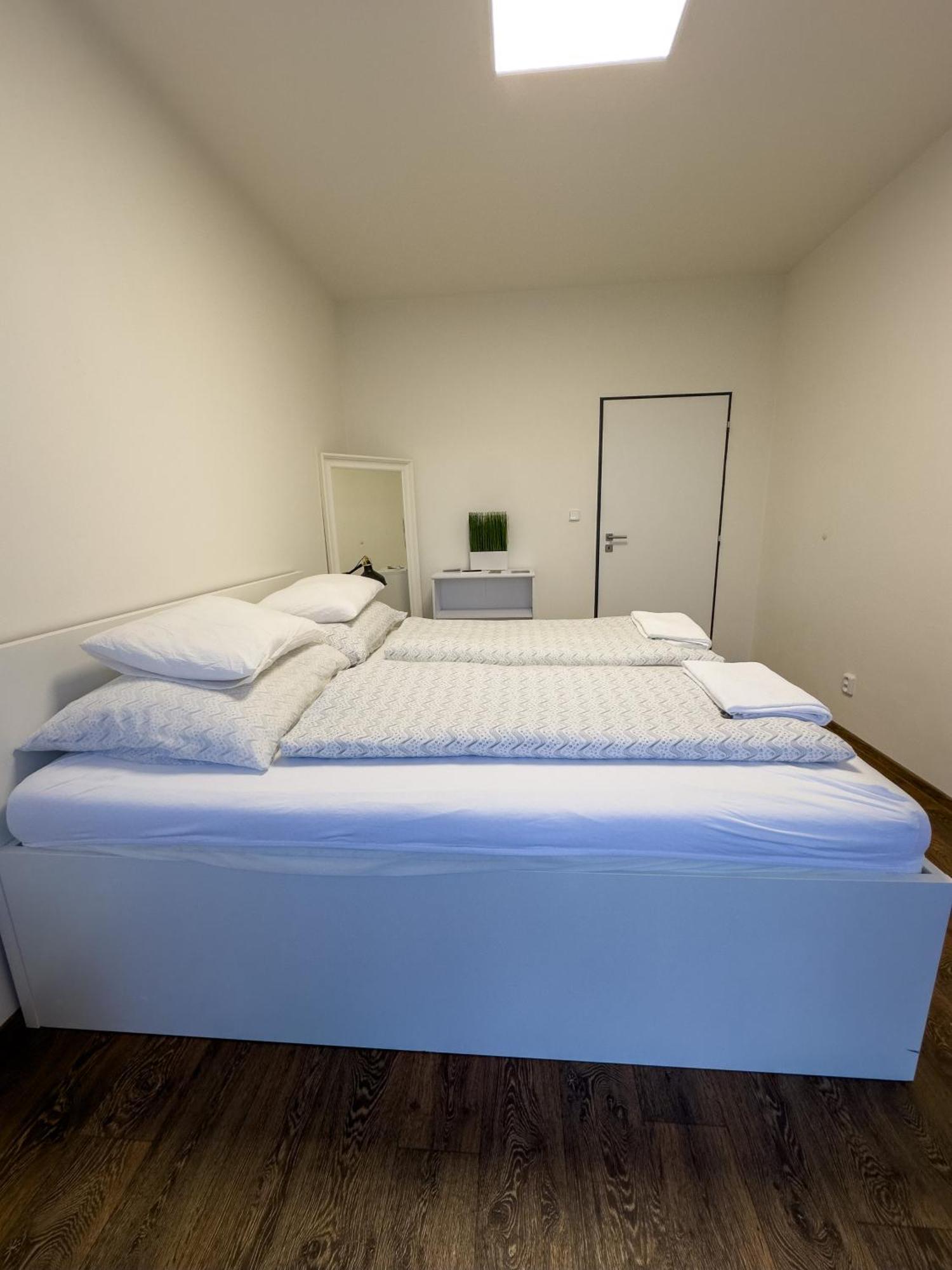 Haas Apartments Downtown With Parking برنو المظهر الخارجي الصورة