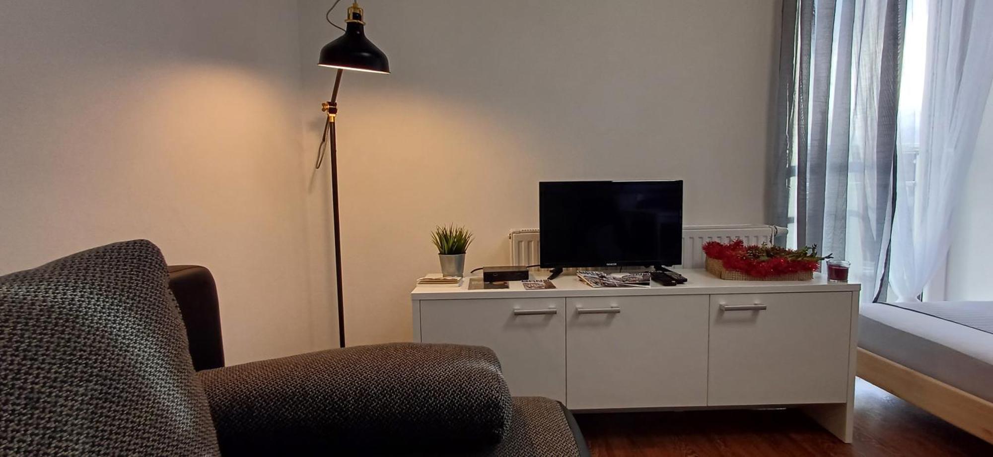 Haas Apartments Downtown With Parking برنو المظهر الخارجي الصورة