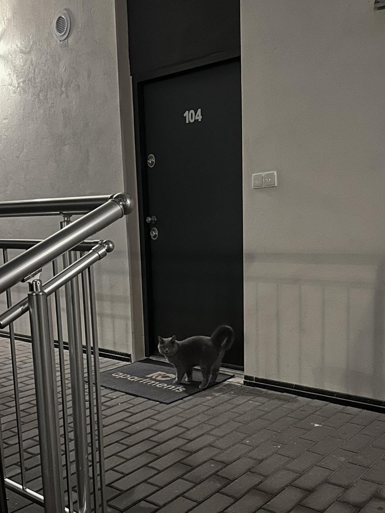 Haas Apartments Downtown With Parking برنو المظهر الخارجي الصورة