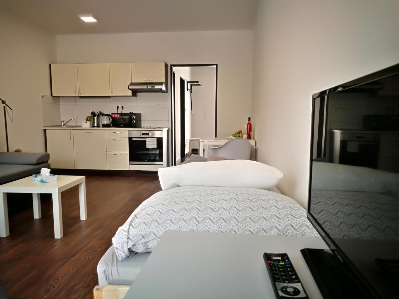Haas Apartments Downtown With Parking برنو المظهر الخارجي الصورة