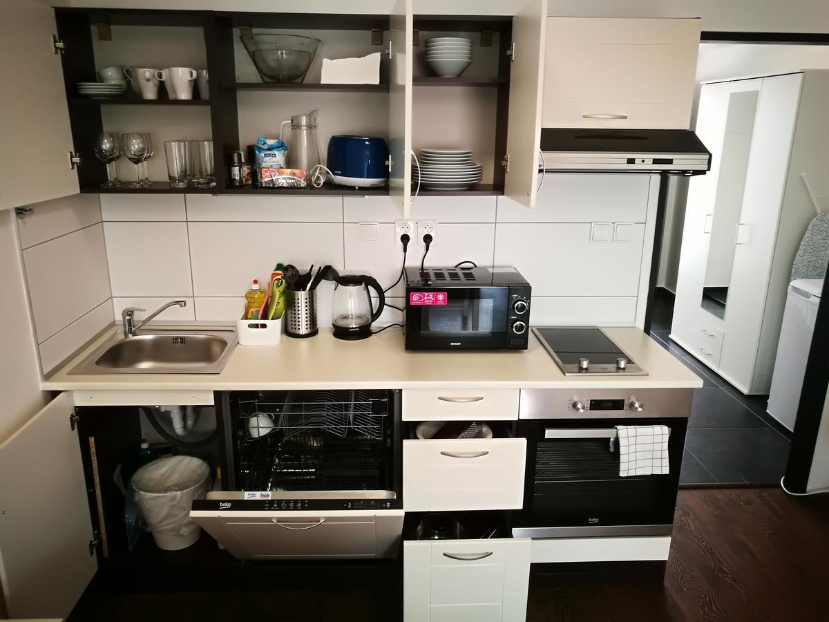 Haas Apartments Downtown With Parking برنو المظهر الخارجي الصورة