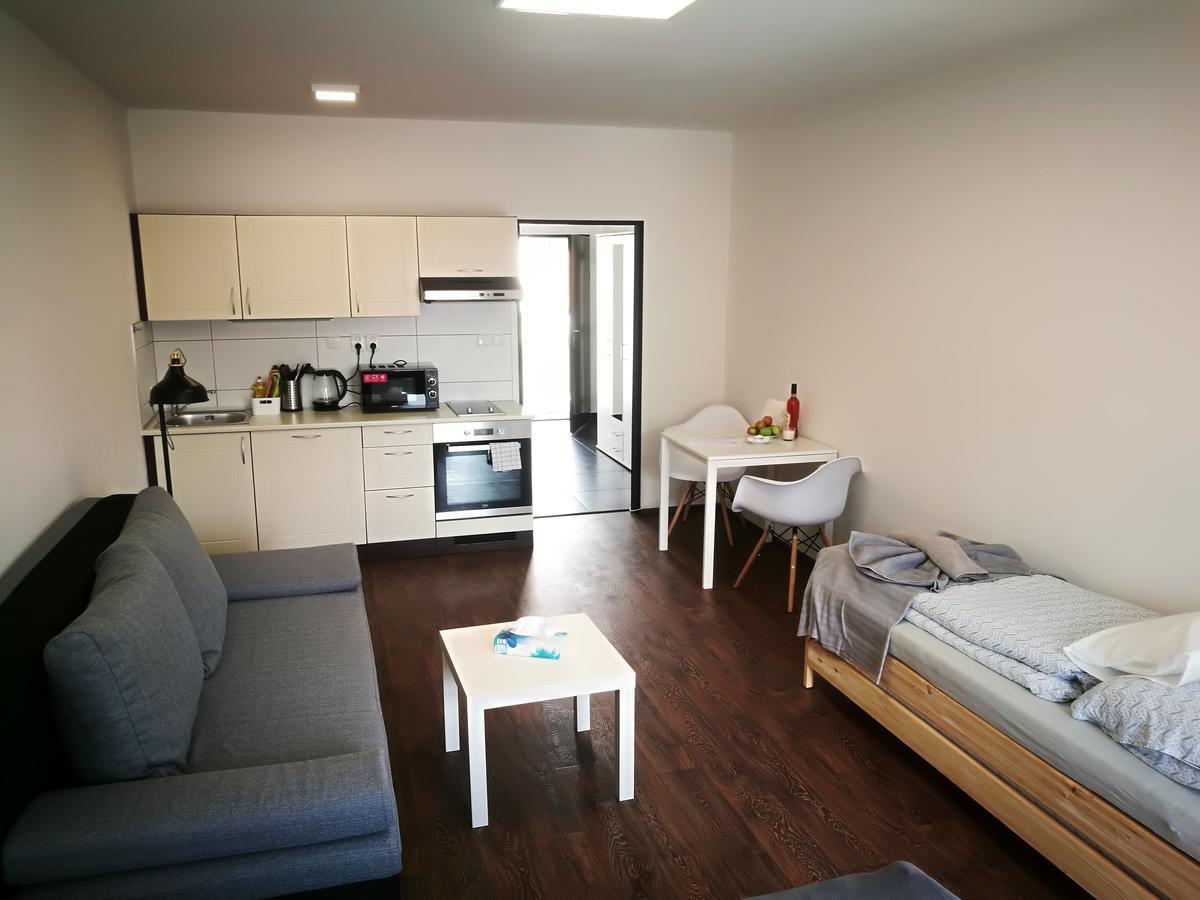 Haas Apartments Downtown With Parking برنو المظهر الخارجي الصورة